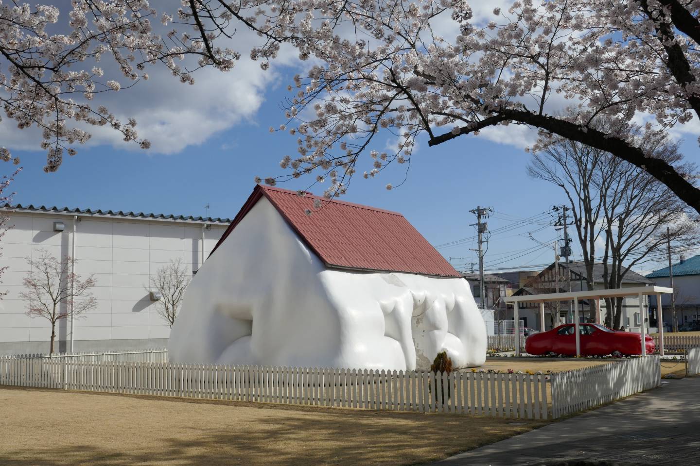 Kirschblüte in Towada