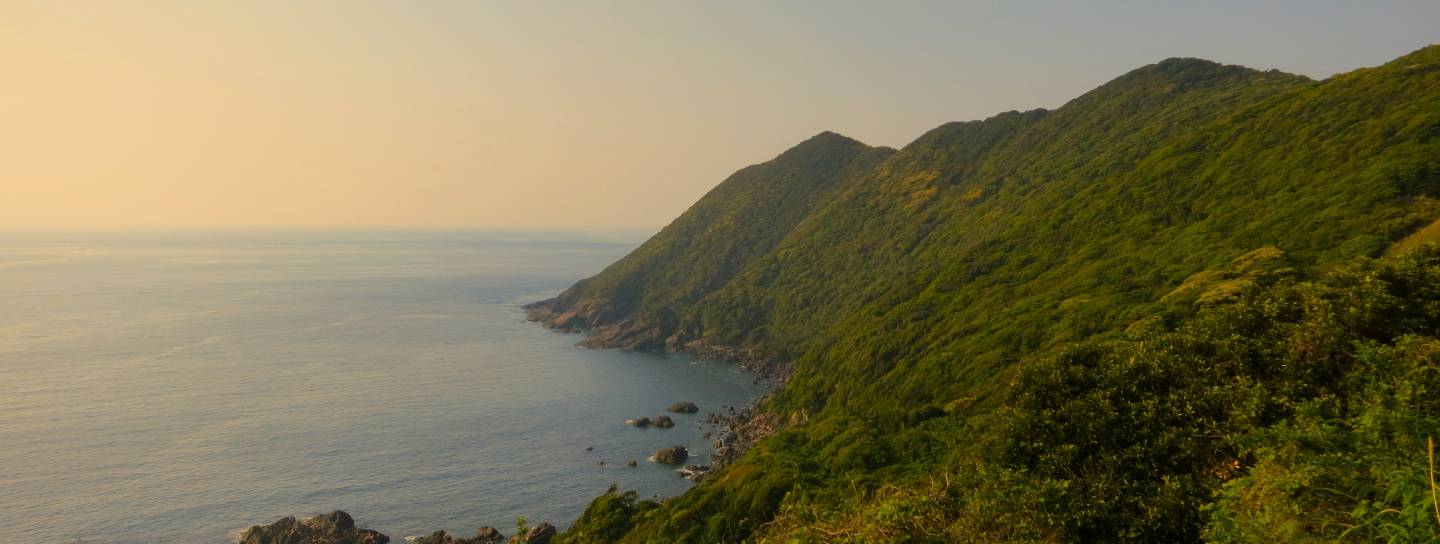 Yakushima view