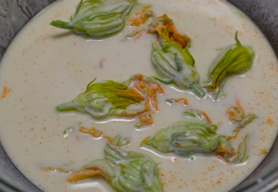 Kürbis Zucchini Blüte Tempura
