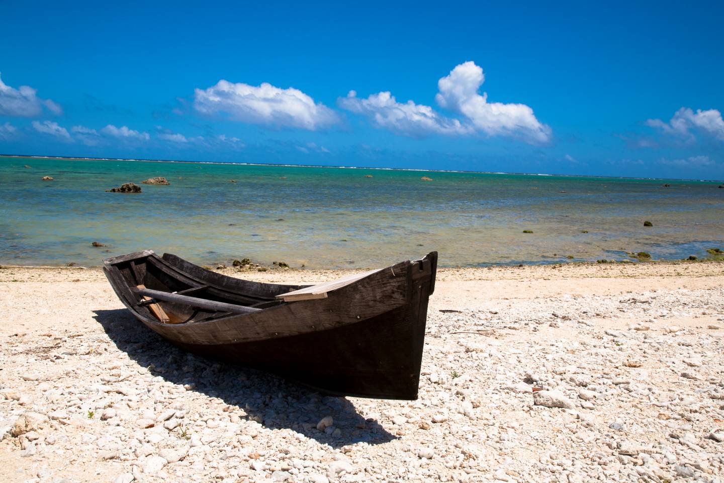 Iriomote Yonaguni Okinawa Korallen Riff Schnorcheln Tauchen Fische Urlaub