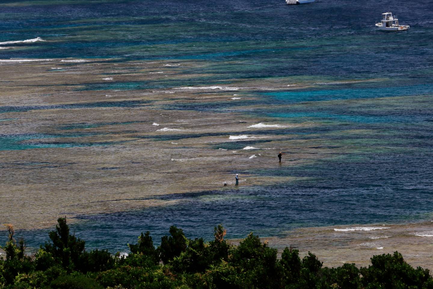 Iriomote Yonaguni Okinawa Korallen Riff Schnorcheln Tauchen Fische Urlaub