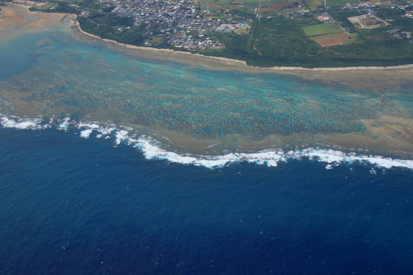 Iriomote Yonaguni Okinawa Korallen Riff Schnorcheln Tauchen Fische Urlaub