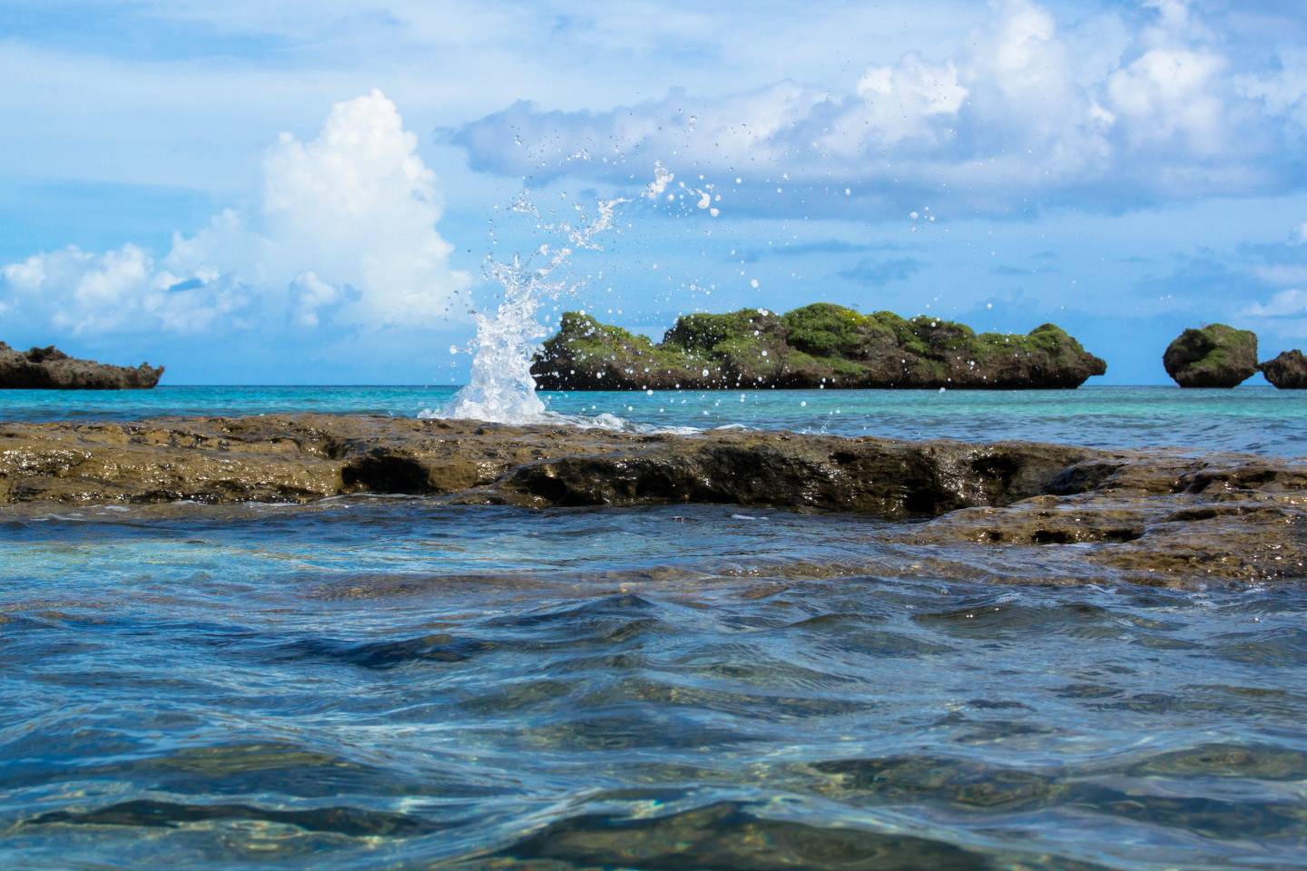 Iriomote Yonaguni Okinawa Korallen Riff Schnorcheln Tauchen Fische Urlaub