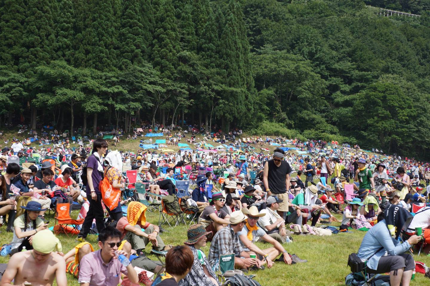 fuji rock festival