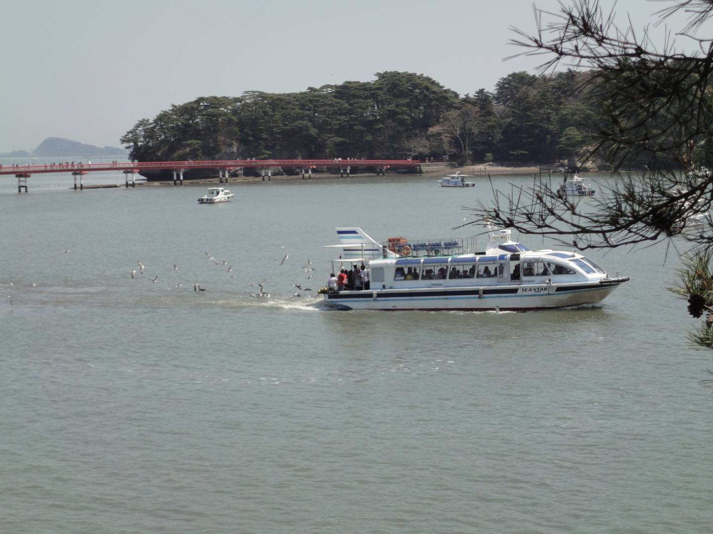 matsushima