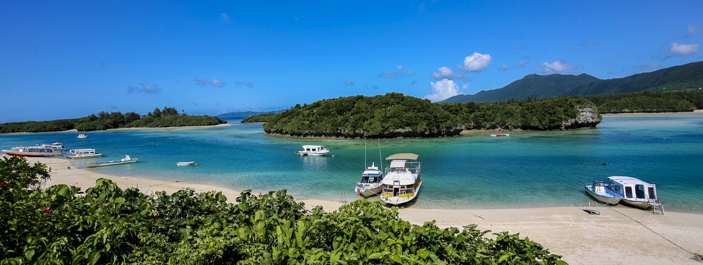 Ishigaki Mangroven Kabira-wan Kabira Bucht Bay Okinawa Yaeyama