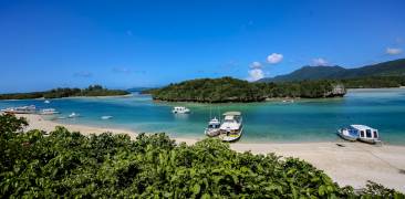 Ishigaki Mangroven Kabira-wan Kabira Bucht Bay Okinawa Yaeyama