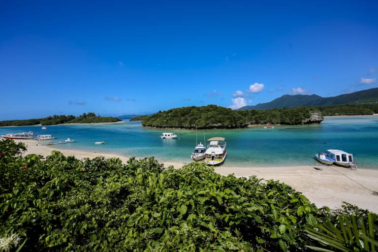 Ishigaki Mangroven Kabira-wan Kabira Bucht Bay Okinawa Yaeyama