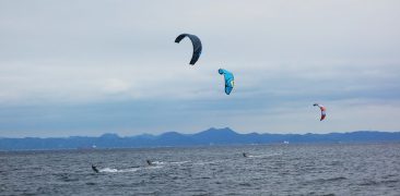 kitesurfer japan