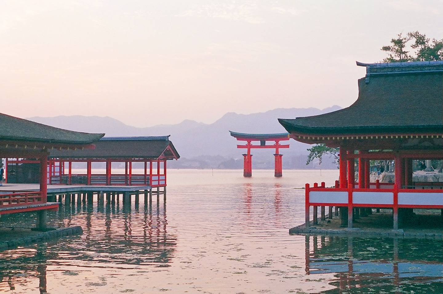 Miyajima