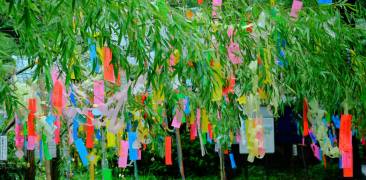 tanabata