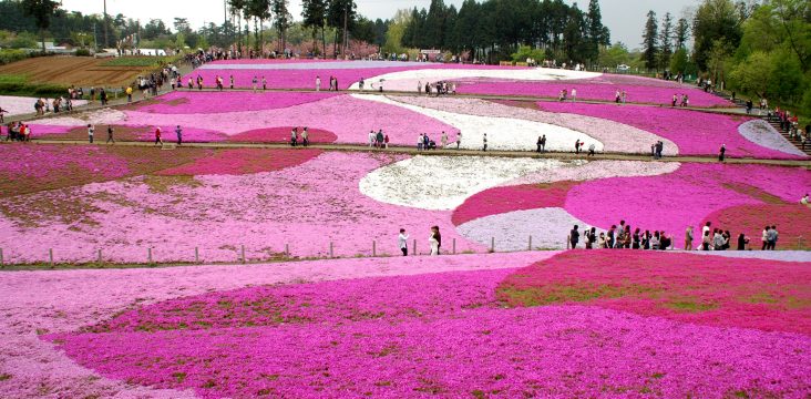 hitsujiyama koen