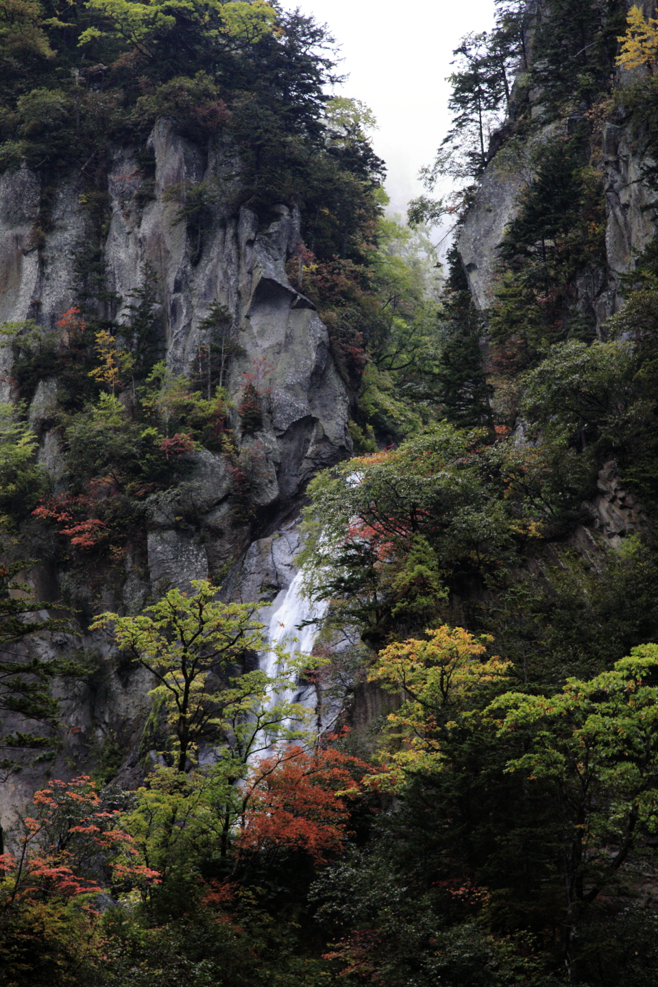 Hokkaido hagoromonotaki