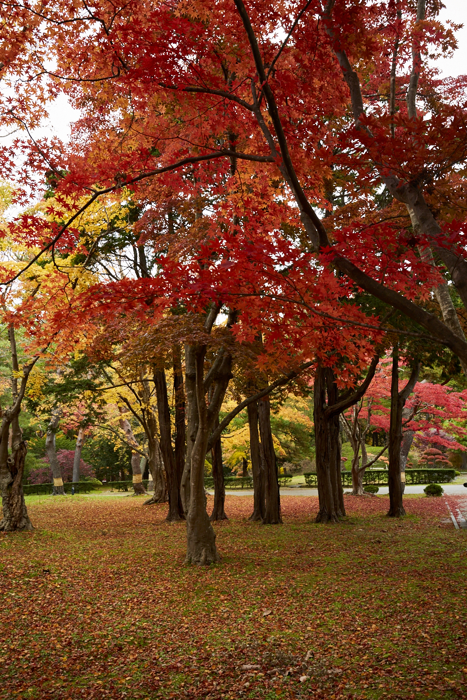 Hokkaido hakodateshi kousetsuen