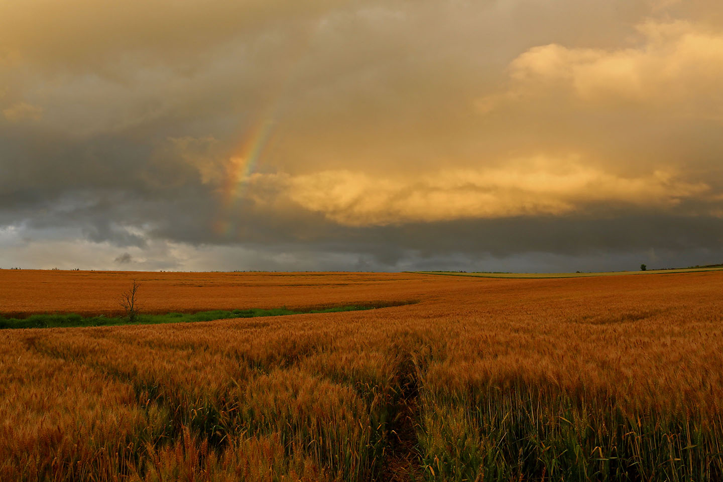 jtpa wolkenmeer