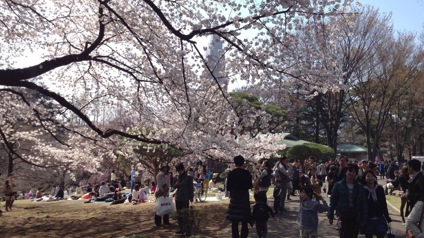 Frühling in Japan.