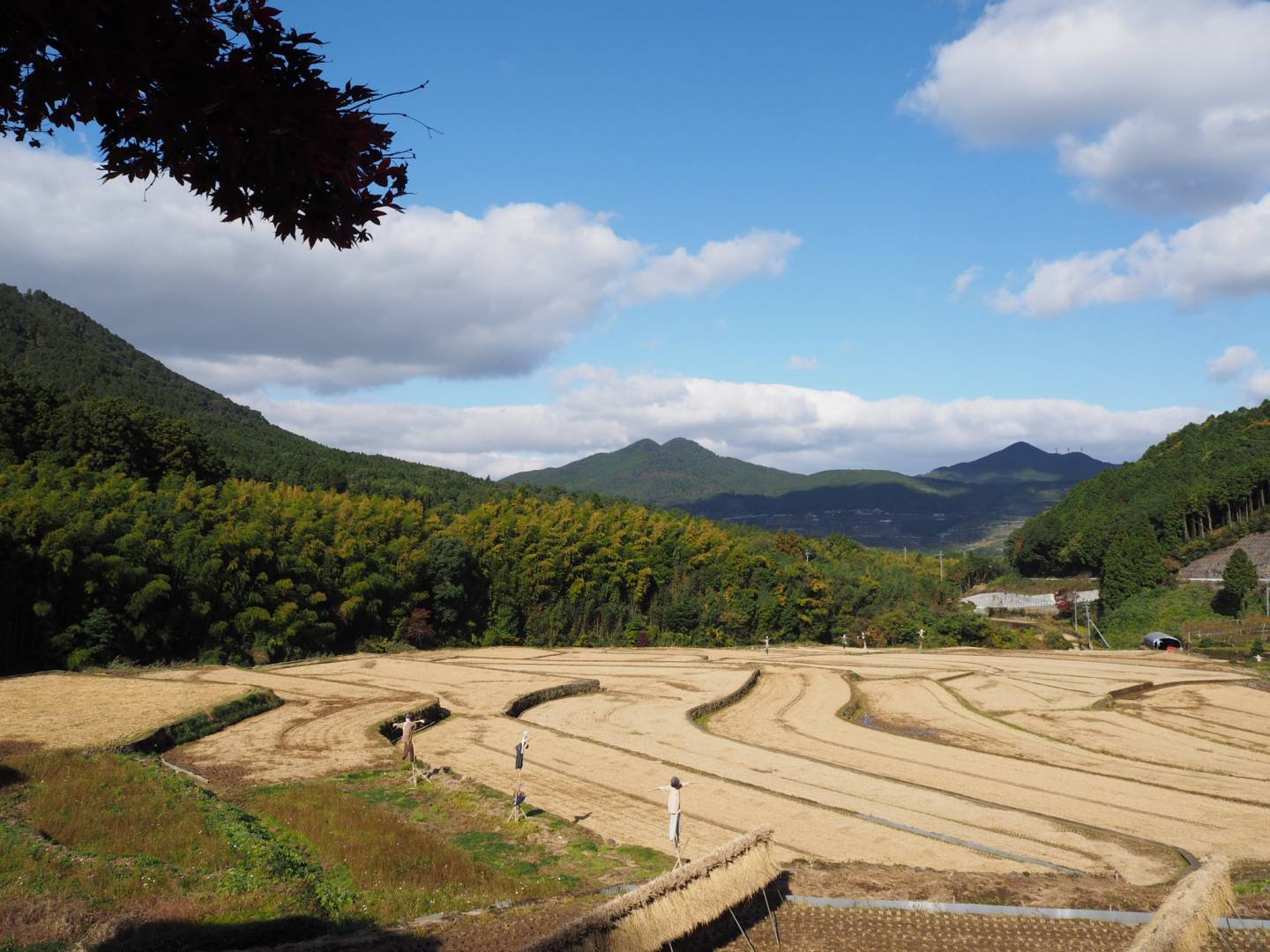 kumamoto