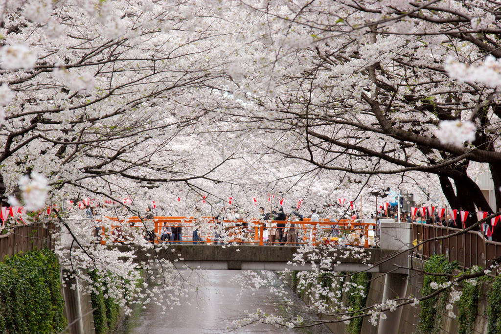 Meguro