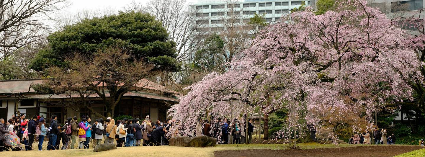 koishikawa koraku koen