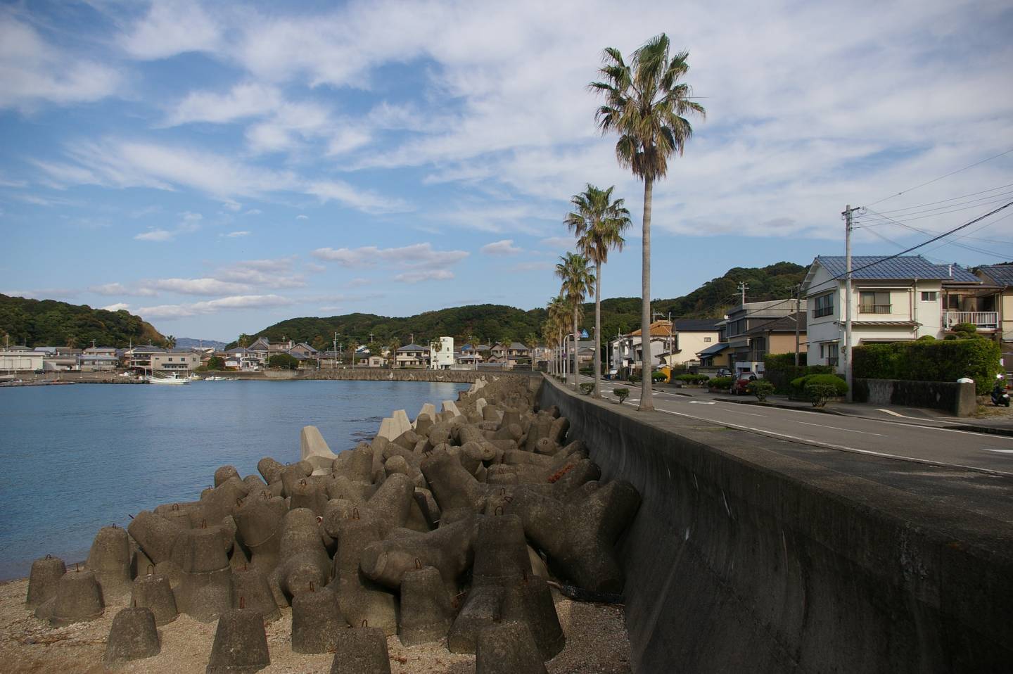 Palmen auf Nanki-Shirahama