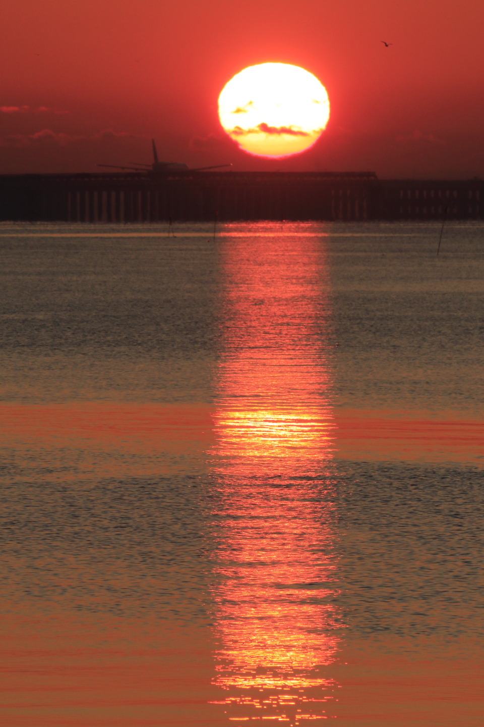 haneda