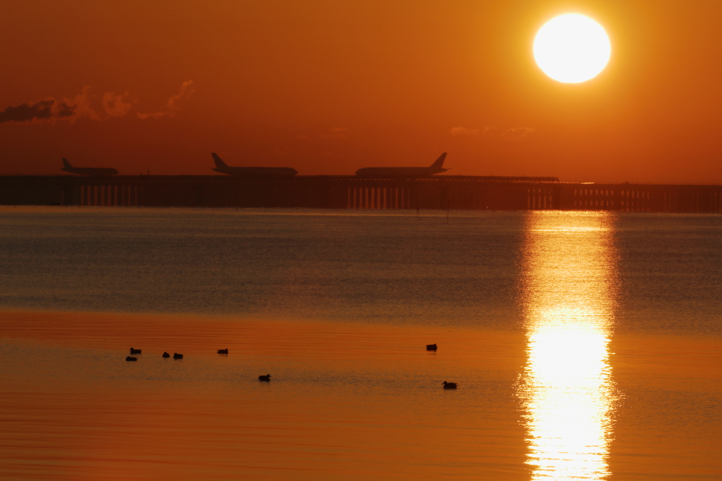 haneda