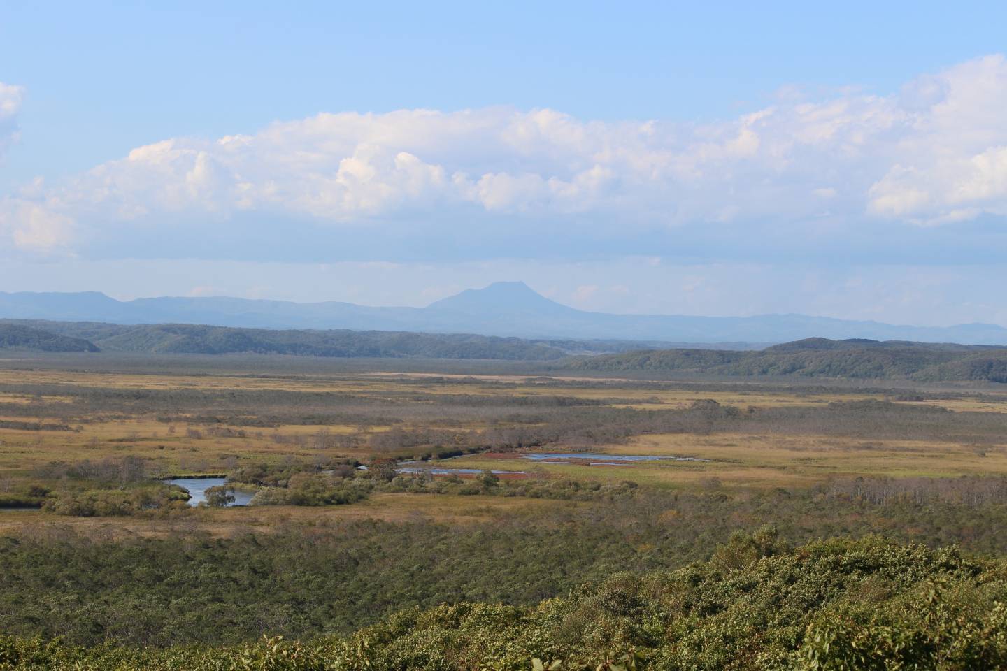 Kushiro Shitsugen-Feuchtgebiet