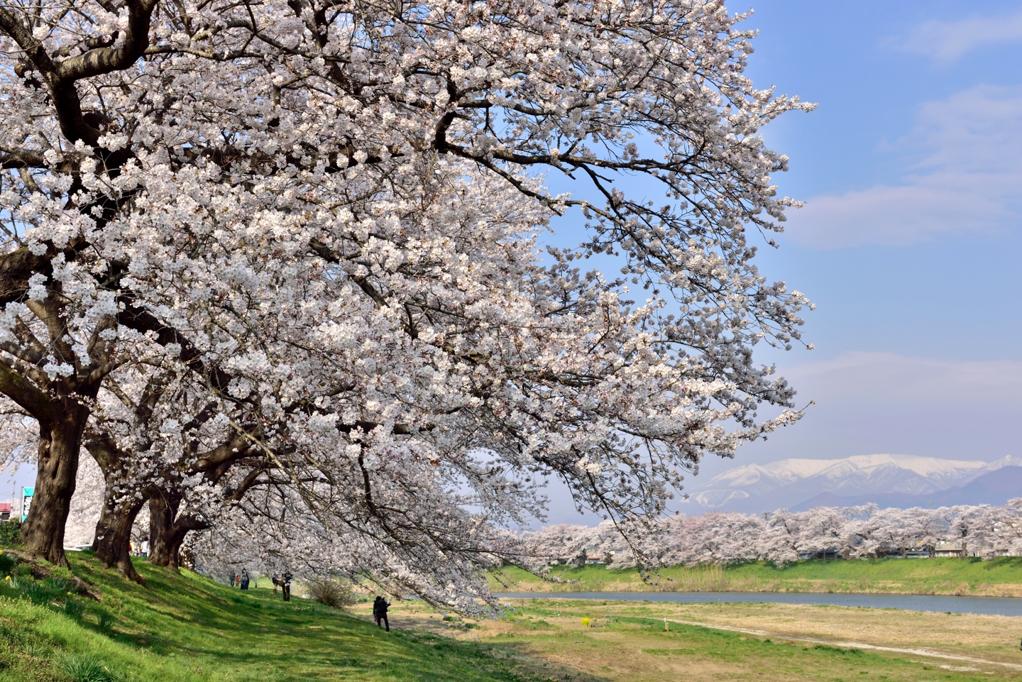 miyagi-shiroishi