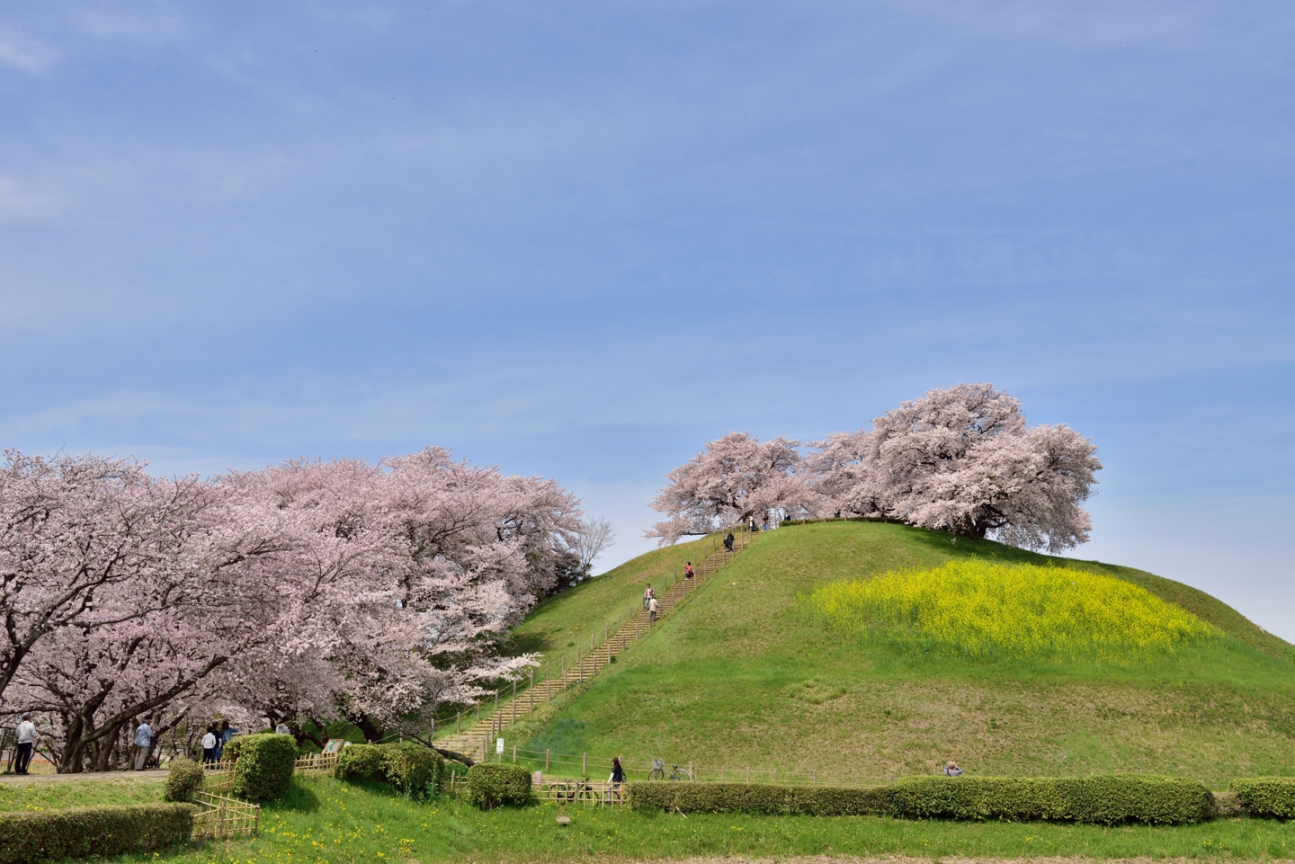 saitama kofun