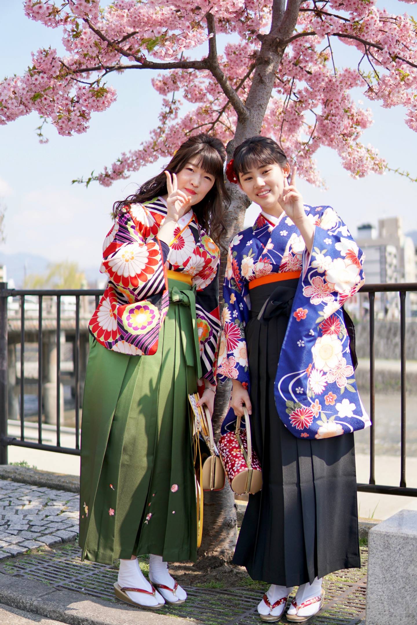 Hanami im Hakama