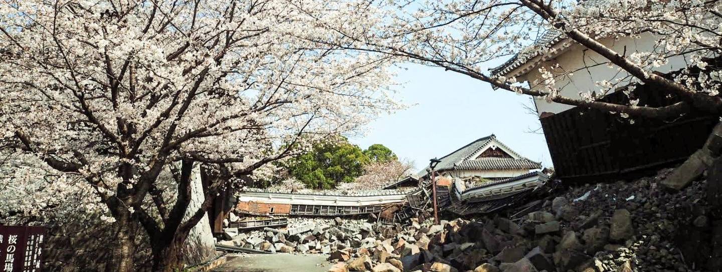 kirschblüte kumamoto