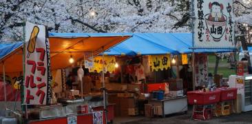 Kirschblütenfest in Hirosaki