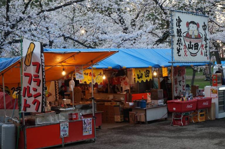 Kirschblütenfest in Hirosaki