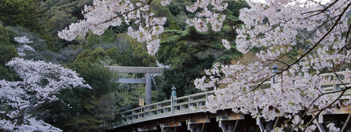 Brücke zum Ise jingu