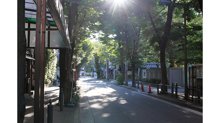 eine allee in kiyosumi