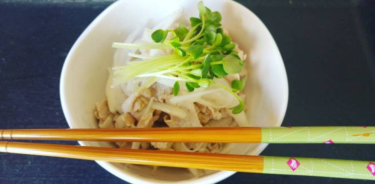 Shabu Salat mit Zitronen Ingwer Dressing