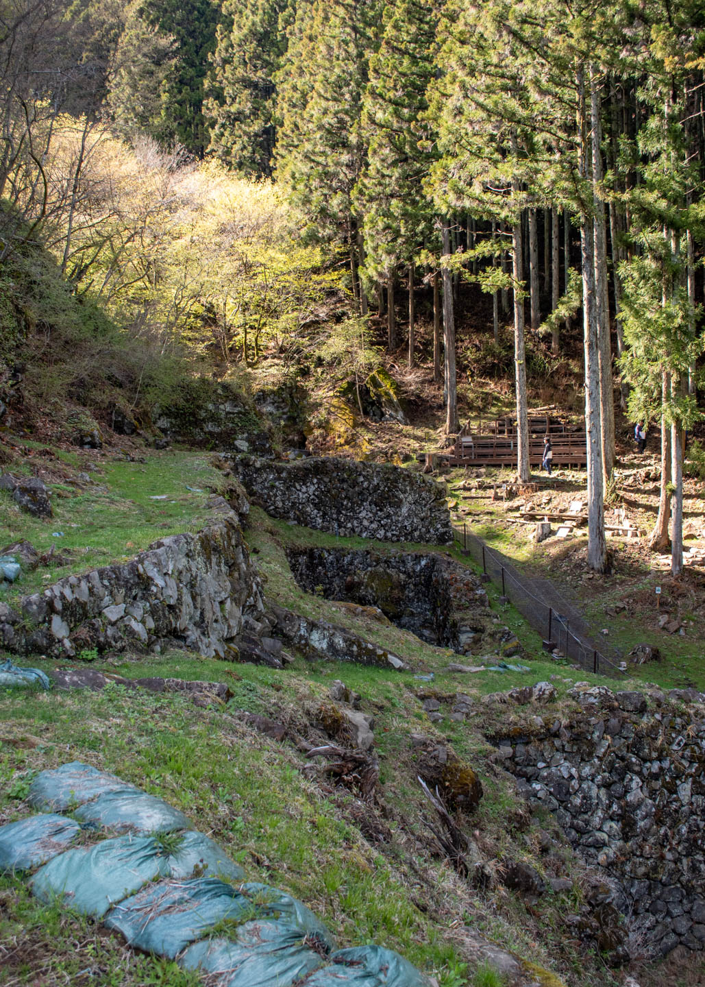 shimonita wetterschacht