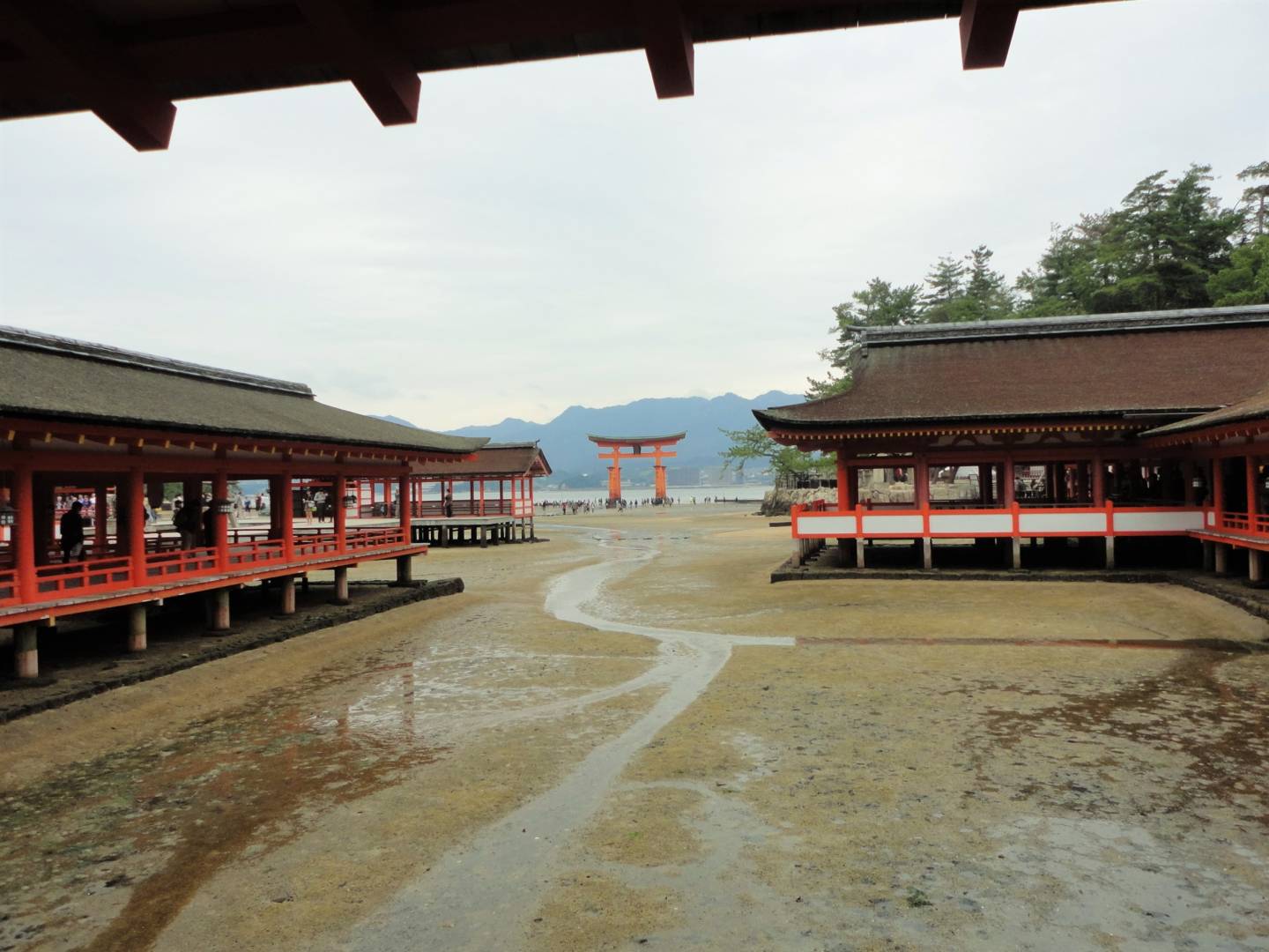 Miyajima