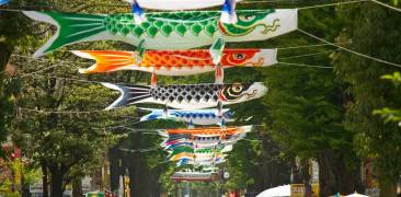 Koinobori