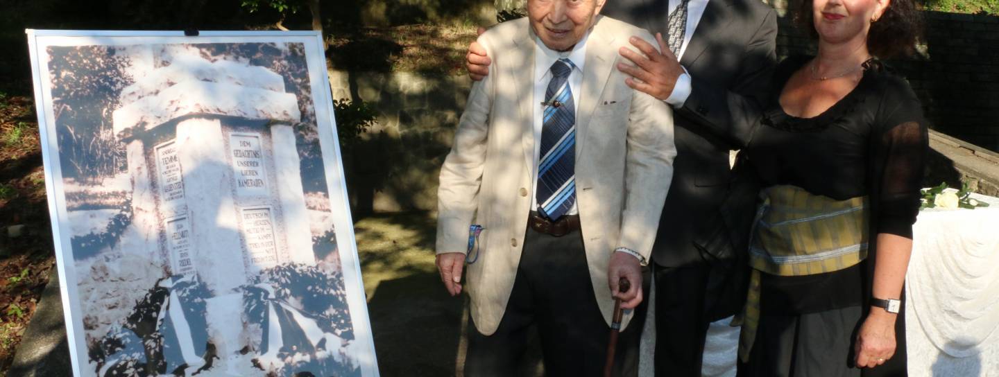 Sonne scheint durch Bäume