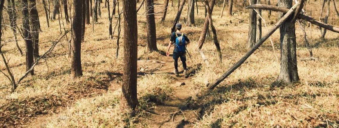 wanderer im wald in japan