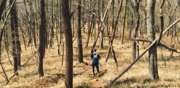 wanderer im wald in japan