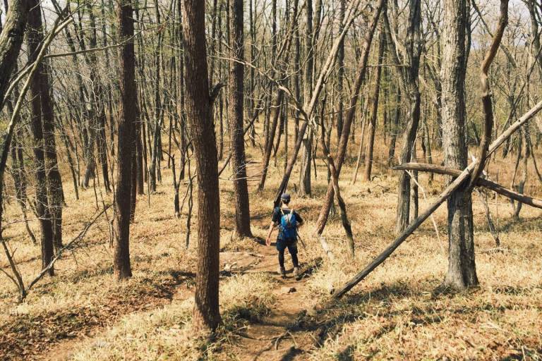 wanderer im wald in japan