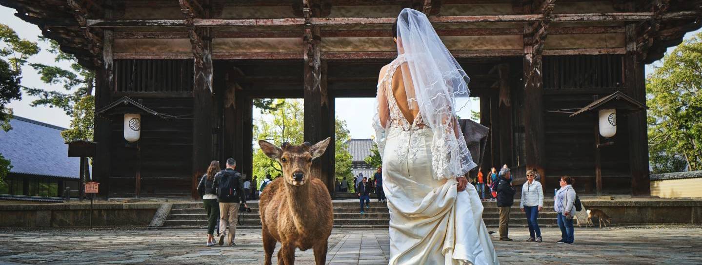 Braut in Nara mit Reh