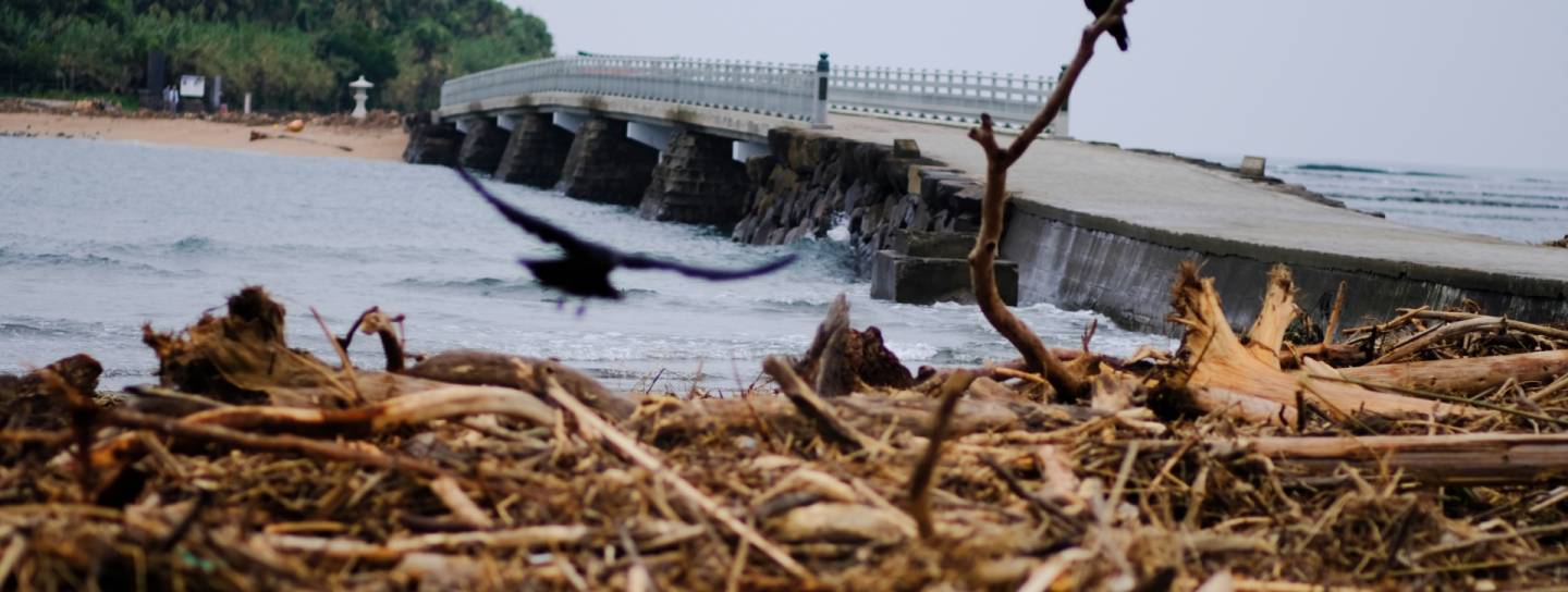 Als stärkster Sturm seit einem Vierteljahrhundert hat „Jebi“ Japans Westküste verwüstet und elf Leben gefordert.