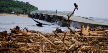 Als stärkster Sturm seit einem Vierteljahrhundert hat „Jebi“ Japans Westküste verwüstet und elf Leben gefordert.