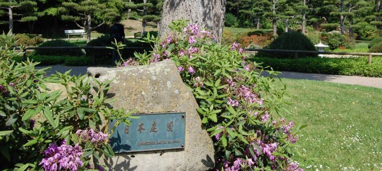 Japanischer garten Düsseldorf