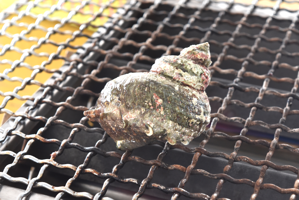 Kreiselschnecke auf dem Grill