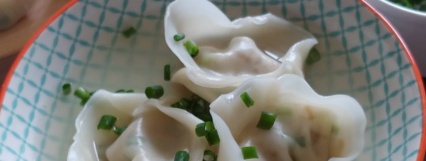 Gyōza-Suppe
