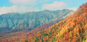 herbstliche Berglandschaft in Japan